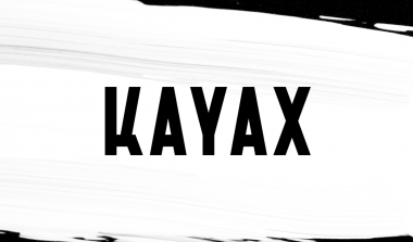 Partnerzy Główni </br> 7. edycji PYD: </br> Kayax